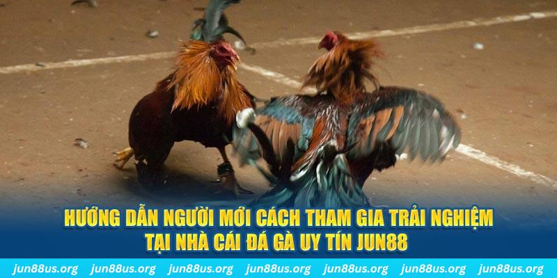 88 go loi game dot kich ket noi may chu that bai