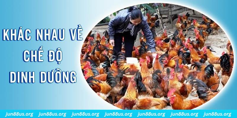 88 go xổ số miền nam thứ năm hàng tuần