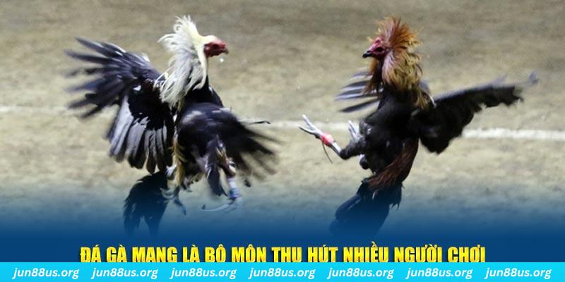 88 go tại sao tải game bài sunwin không được
