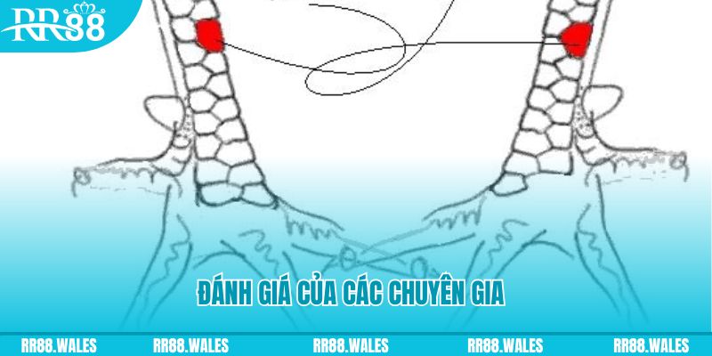 88 go V8 Game Bài 3d