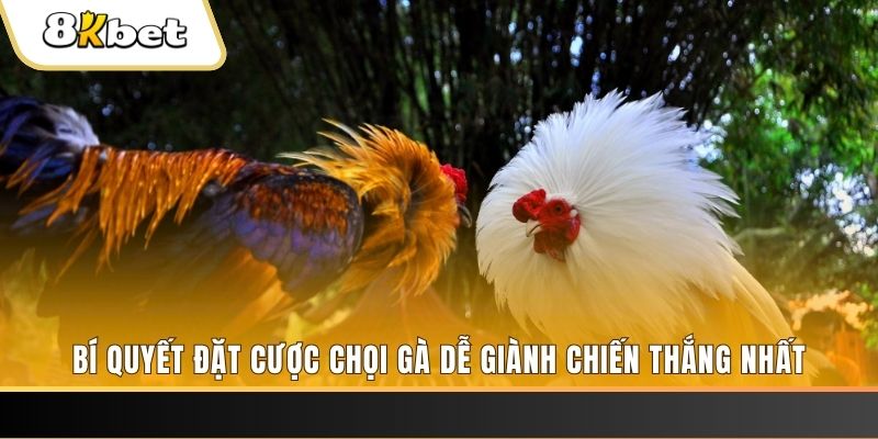 88 go xổ số thứ hai hàng tuần