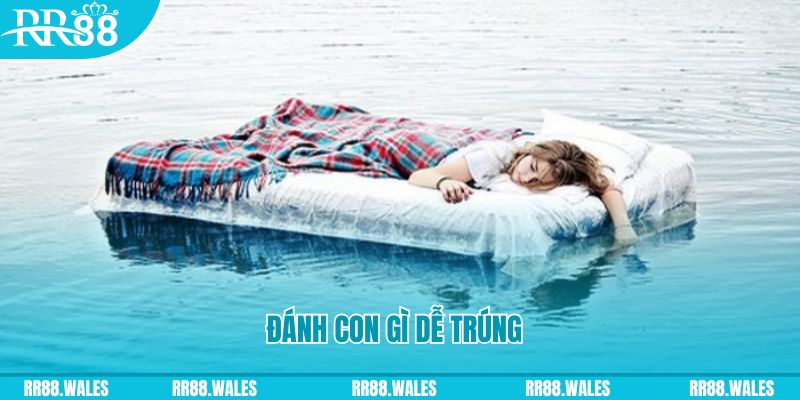 88 go đăng nhập liêng hàng đầu