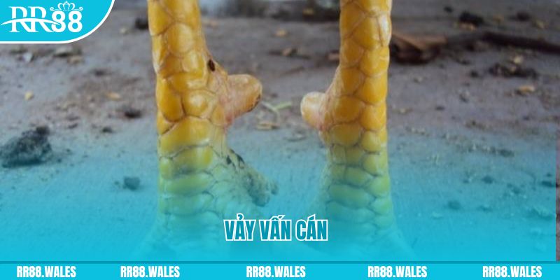 88 go đăng nhập nổ hũ hôm nay