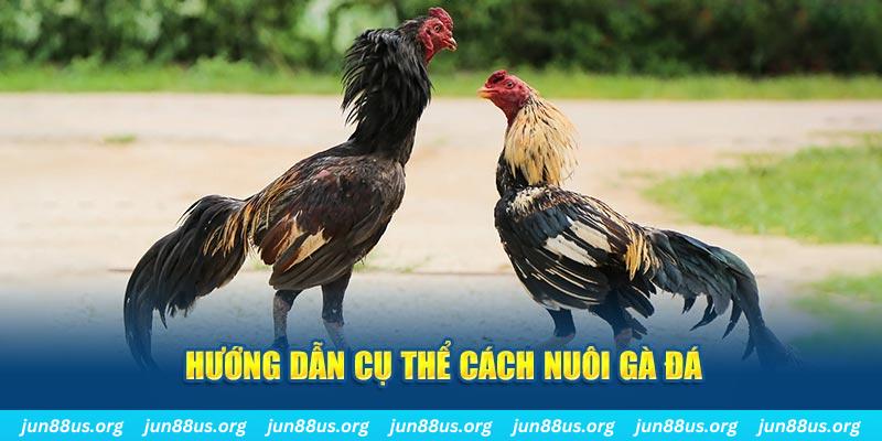 88 go đăng nhập sòng bạc số 1