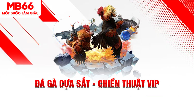 88 go xổ số trực tiếp hôm nay