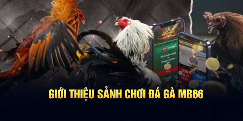 88 go đăng nhập poker hôm nay