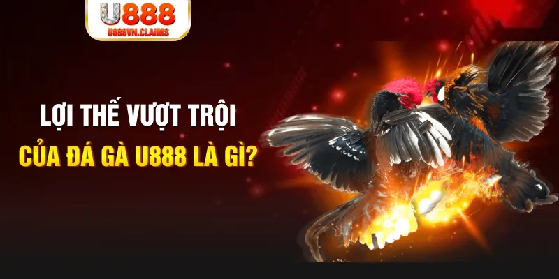 88 go 168G Điện Tử